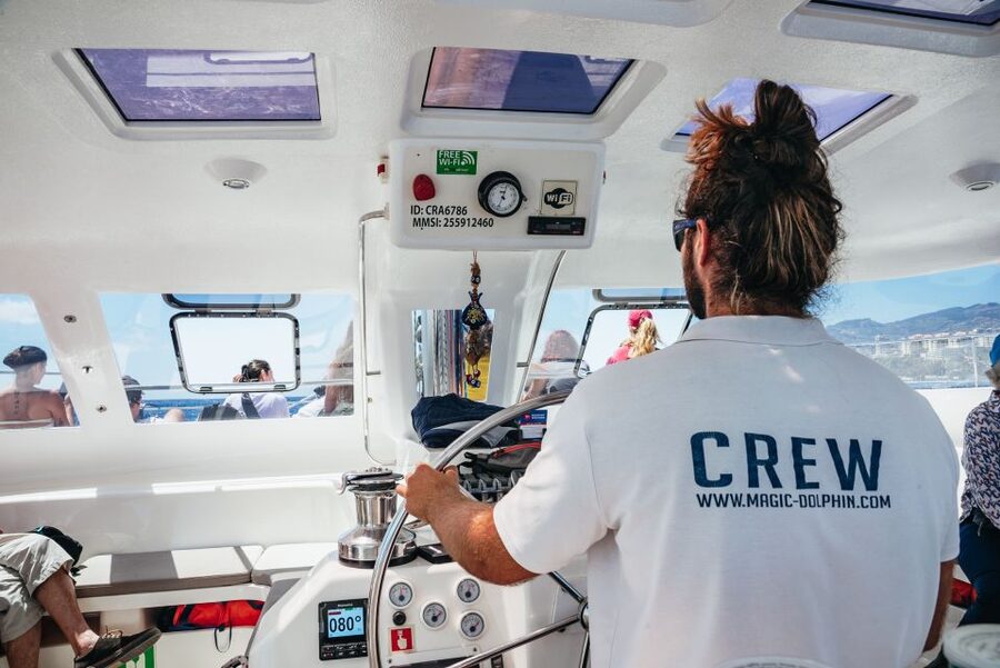 Funchal: Dolphin and Whale Watching by Luxury Catamaran - Who Will Enjoy This Trip Most