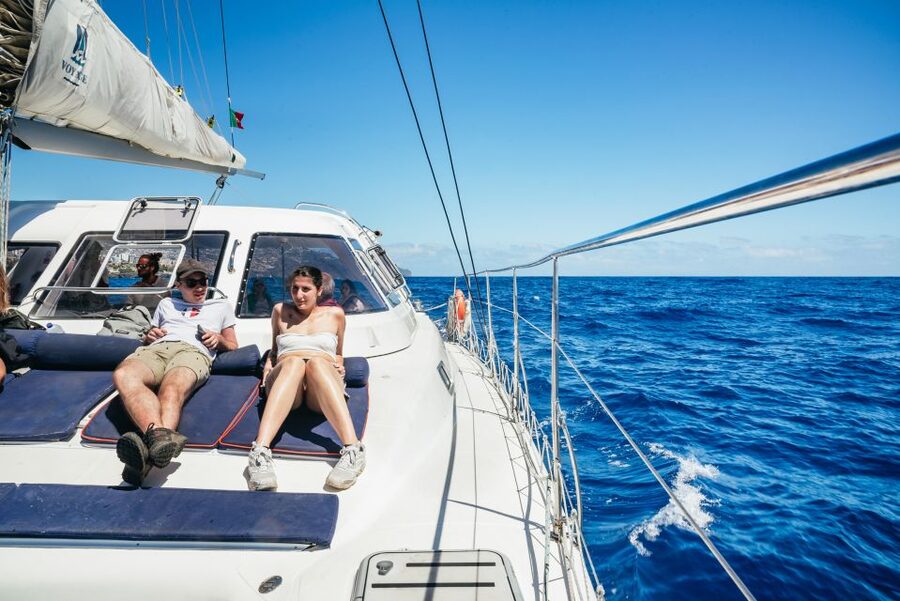 Funchal: Dolphin and Whale Watching by Luxury Catamaran - Practical Details Before You Book