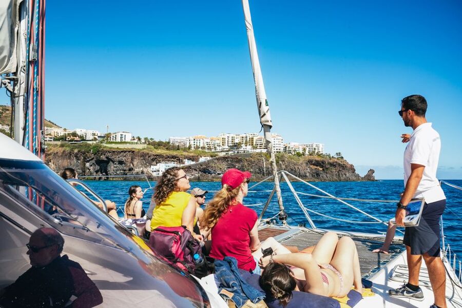 Funchal: Dolphin and Whale Watching by Luxury Catamaran - Should You Book It?