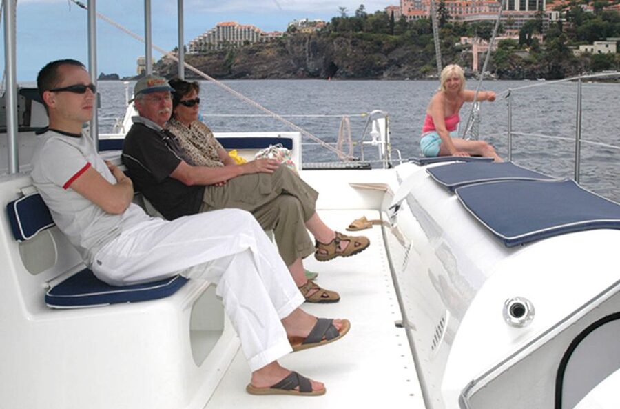 Funchal: Dolphin and Whale Watching Catamaran Cruise - Searching for dolphins, whales, and turtles