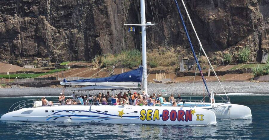 Funchal: Dolphin and Whale Watching Catamaran Cruise - Finding your best place on the boat