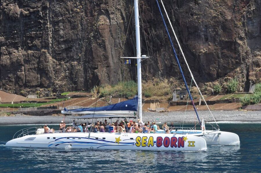 Funchal: Dolphin and Whale Watching Catamaran Cruise - How good is the $41 value?