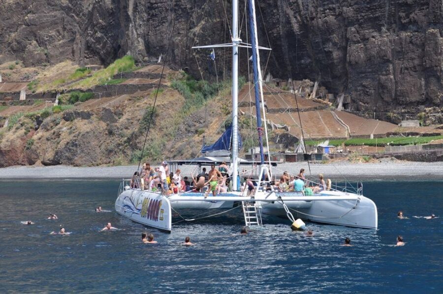 Funchal: Dolphin and Whale Watching Catamaran Cruise - Who will enjoy this cruise most