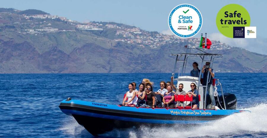 Funchal: Dolphin and Whale Watching Cruise - Why this Funchal wildlife cruise is different