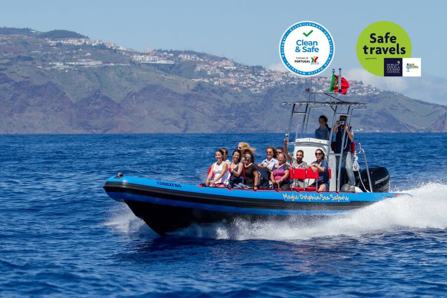 Funchal: Dolphin and Whale Watching Cruise - Leaving Magic Dolphin in Funchal