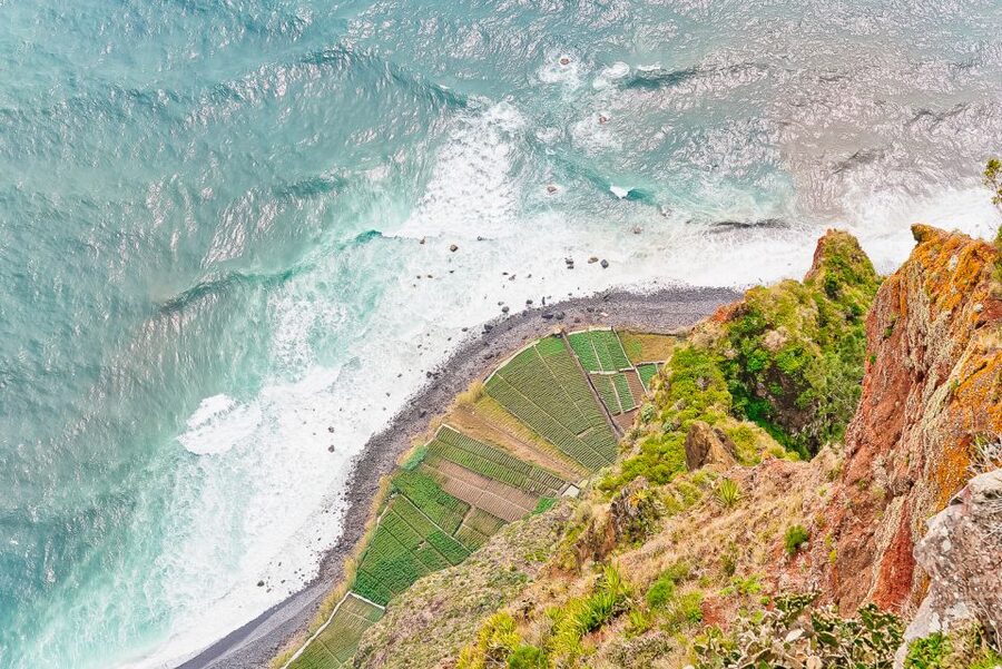 Funchal: Dolphin and Whale Watching Sailing Trip - Key points to know before booking
