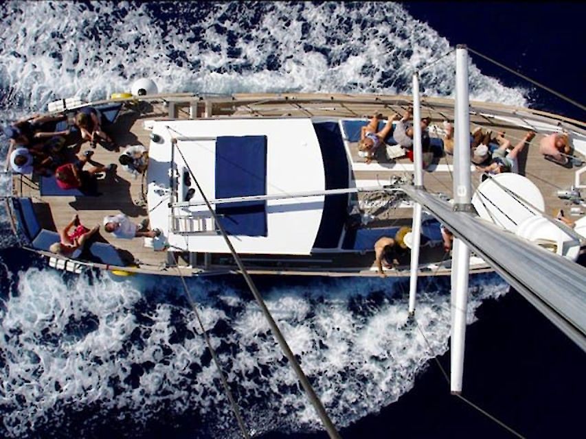 Funchal: Dolphin and Whale Watching Sailing Trip - Should you book the Gaviao Madeira sailing trip?