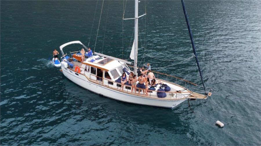 Funchal: Dolphin and Whale Watching Sailing Trip - Leaving Funchal from Cais 8