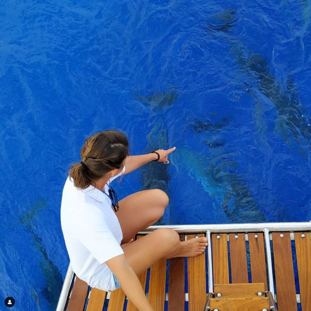 Funchal: Dolphin and Whale Watching Sailing Trip - Cabo Girão and the swimming stop