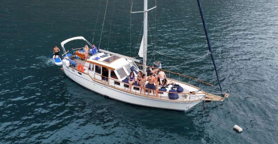 Funchal: Dolphin and Whale Watching Sailing Trip - Watching for dolphins, whales, and sea turtles