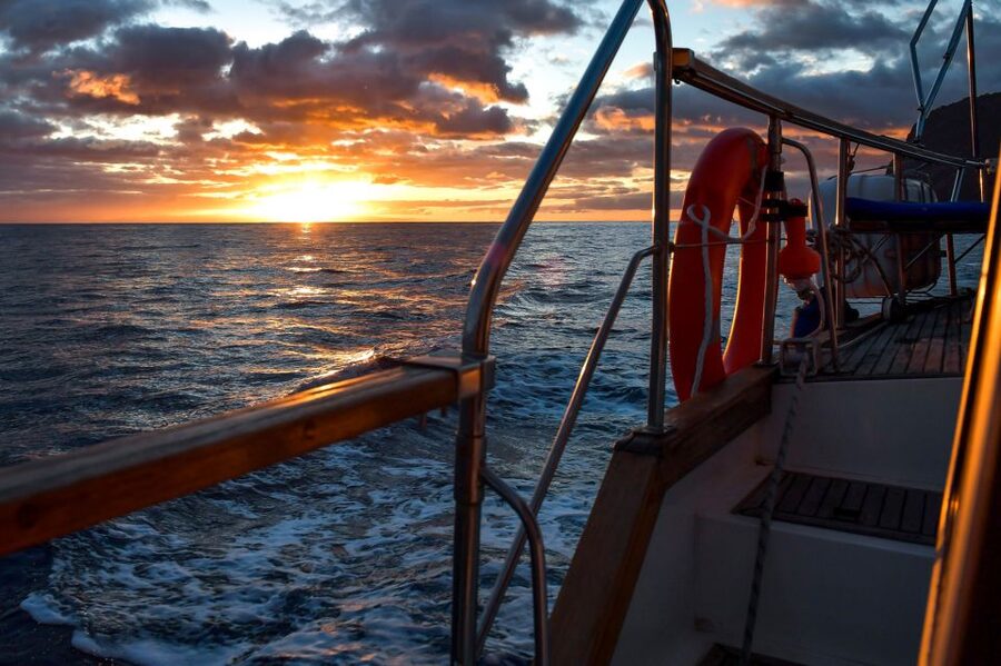 Funchal: Dolphin and Whale Watching Sunset Sailing Tour - Leaving Funchal from Praça do Povo