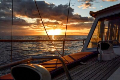 Dolphin and Whale Watching Sunset Sailing Tour