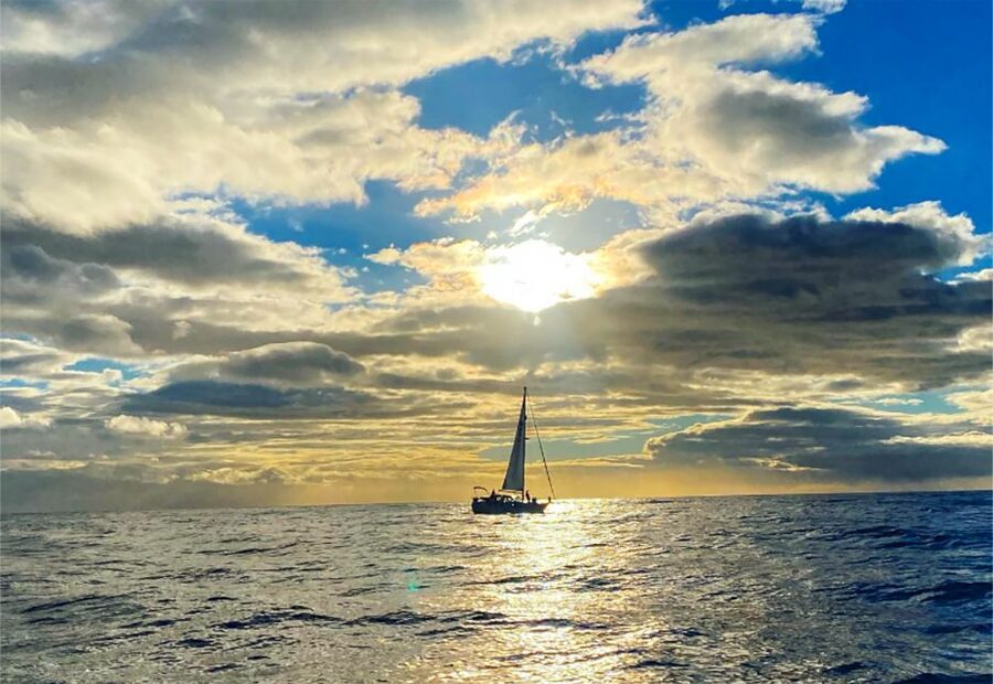 Funchal: Dolphin and Whale Watching Sunset Sailing Tour - What the $63 price gets you