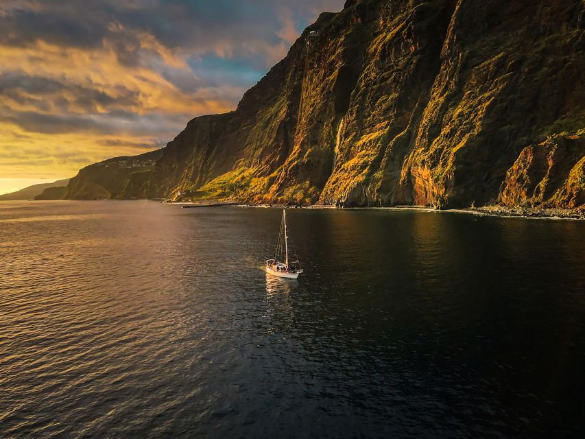 Funchal: Dolphin and Whale Watching Sunset Sailing Tour - Who will enjoy this cruise most