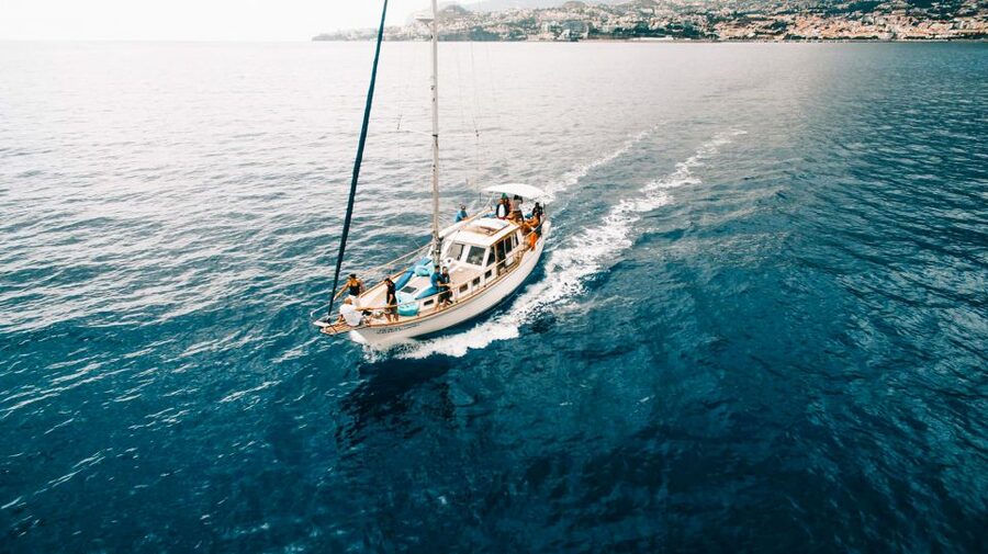 Funchal: Dolphin and Whale Watching Sunset Sailing Tour - Practical packing advice for this Madeira sail