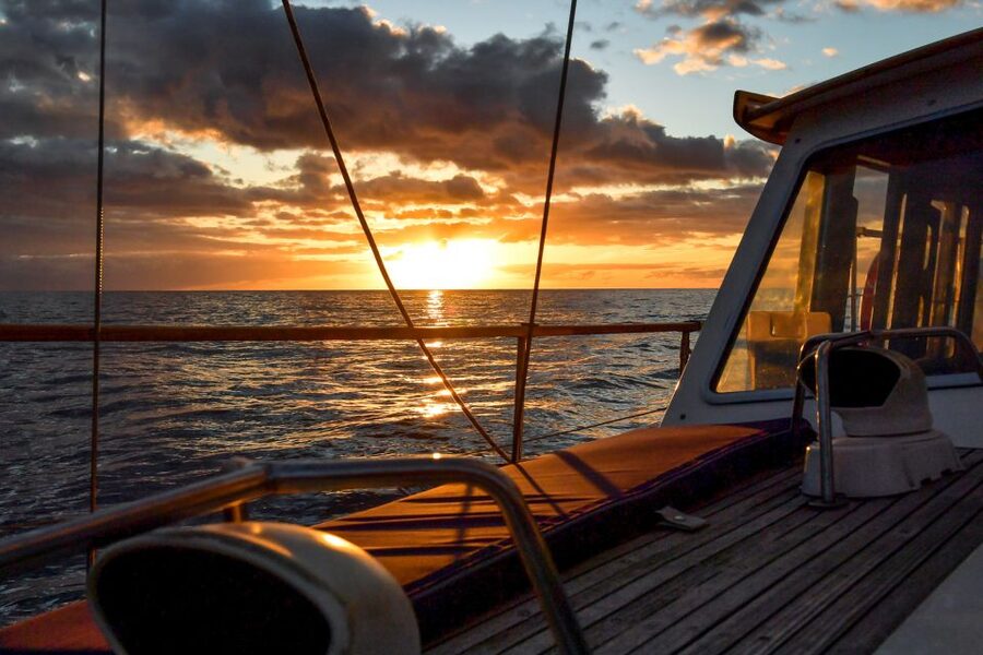 Funchal: Dolphin and Whale Watching Sunset Sailing Tour - Searching the Atlantic for dolphins and whales