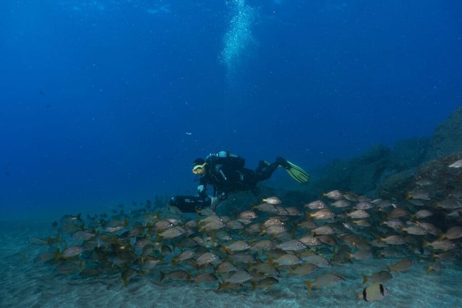 Funchal: DPV- Scooter Dive Adventure - What is included for $69