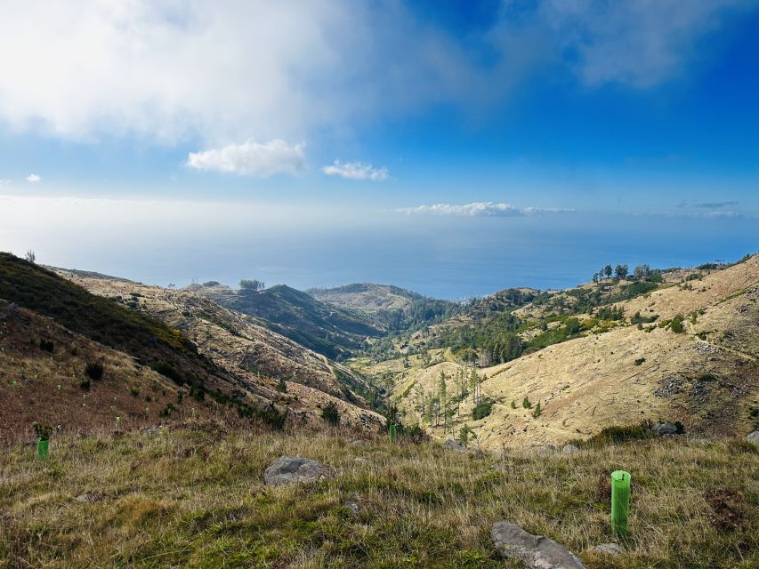 Funchal: East Madeira Island Guided Tour & Laurissilva Walk - Who should book this tour