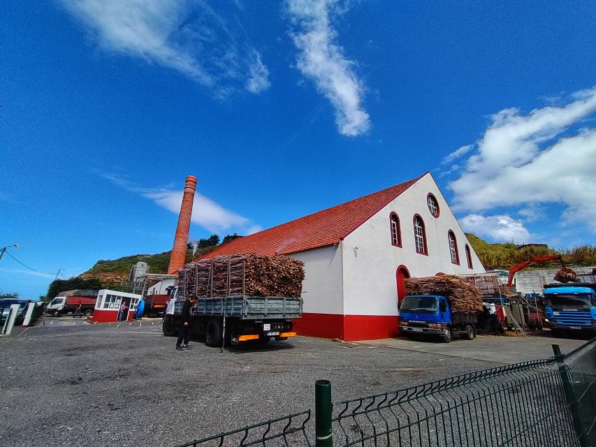 Funchal: East Madeira Island Guided Tour & Laurissilva Walk - Porto da Cruz and a taste of Madeira rum