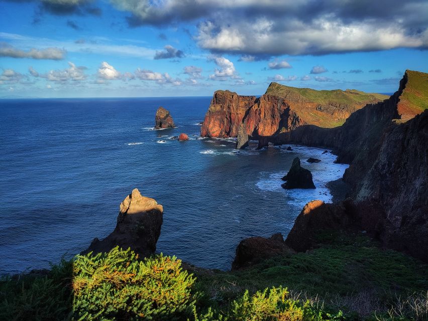 Funchal: East Madeira Island Guided Tour & Laurissilva Walk - The guides are a major part of the experience