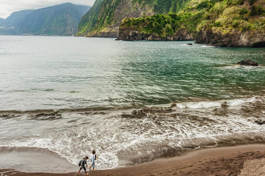 Funchal: Enchanted Terraces, Porto do Moniz & Fanal 4WD Tour - What the guide adds to the day