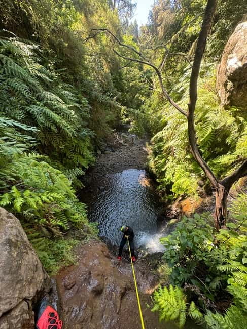 Funchal: Explore Canyoning Level 1 Rochão - A first canyoning day in Funchal’s Ecological Park