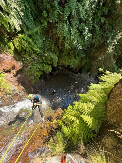 Funchal: Explore Canyoning Level 1 Rochão - Optional jumps and natural slides
