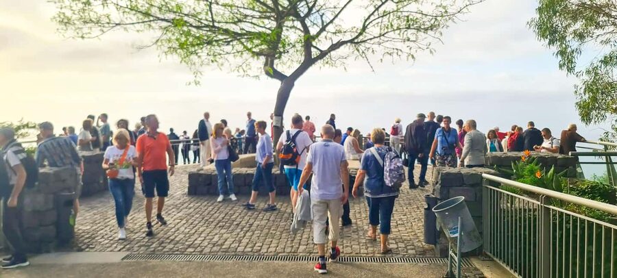 Funchal: Family Madeira Island Tour - Viewpoints, traffic, and the value of local driving