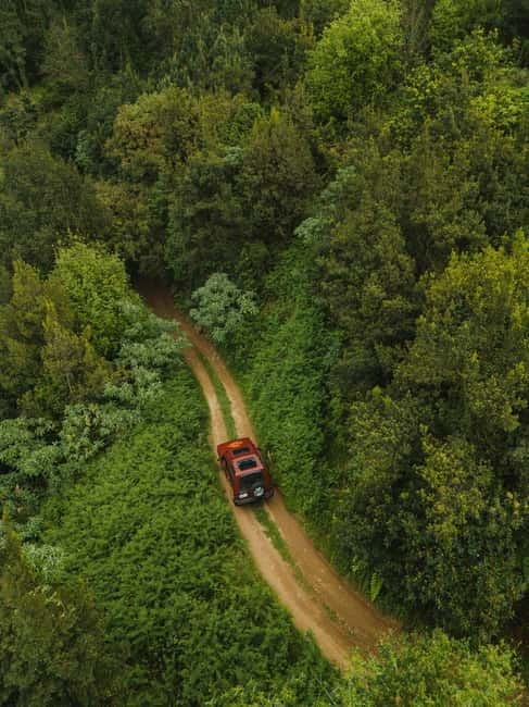 Funchal: Full-day Off-road Tour in West Madeira with Pickup - Who should book this Madeira tour?
