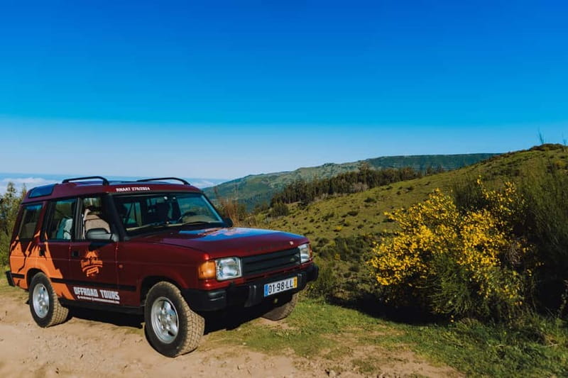 Funchal: Full-day Off-road Tour in West Madeira with Pickup - Group size, guides, and the human side of the tour