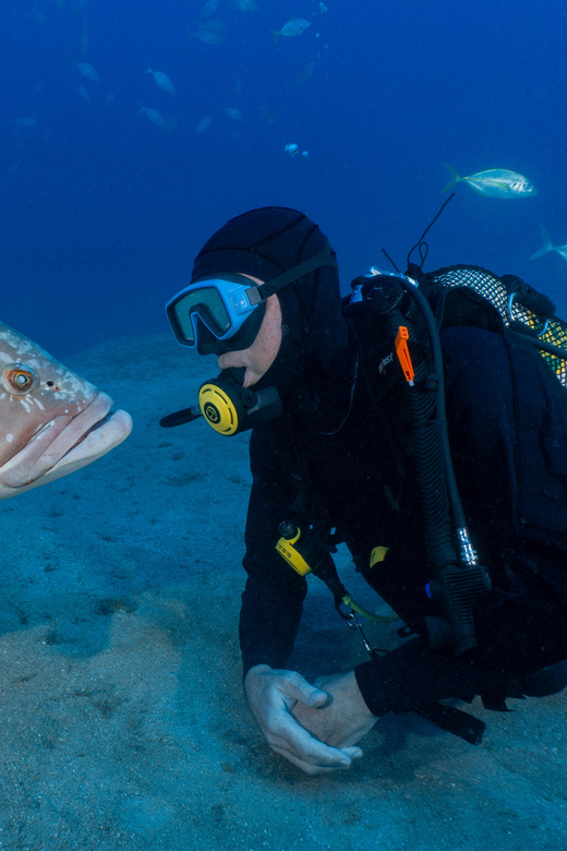 Funchal: Garajau national park - certified divers - Returning to Funchal after the marine visit