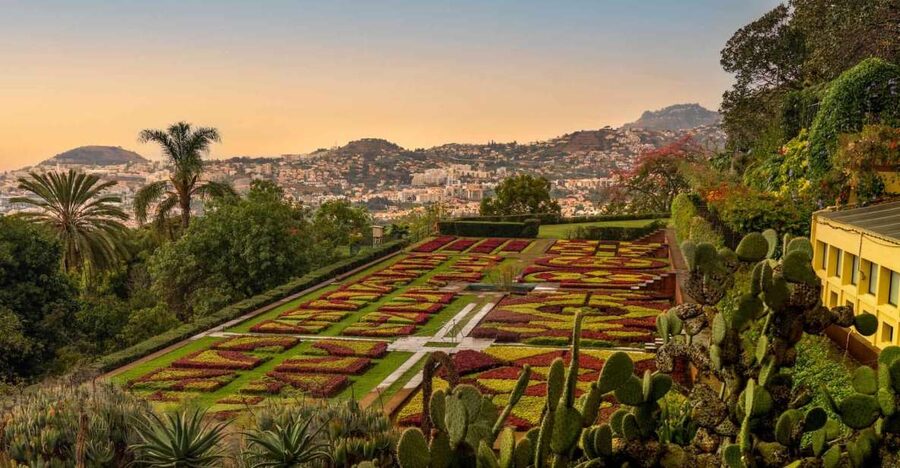 Funchal: Guided Old Town Tuk Tuk Tour and Botanical Gardens - Key things to know before you book