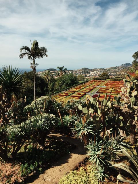 Funchal: Guided Old Town Tuk Tuk Tour and Botanical Gardens - Why a tuk tuk works so well in Funchal