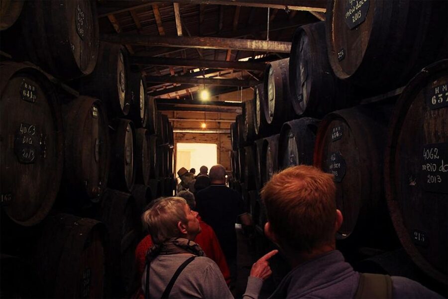 Funchal: H.M. Borges Winery Guided Tour with Wine Tasting - The tasting room and Max Römer’s paintings