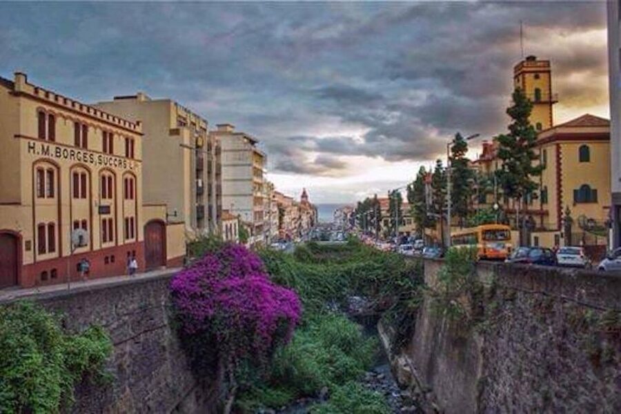 Funchal: H.M. Borges Winery Guided Tour with Wine Tasting - How the guides shape the visit