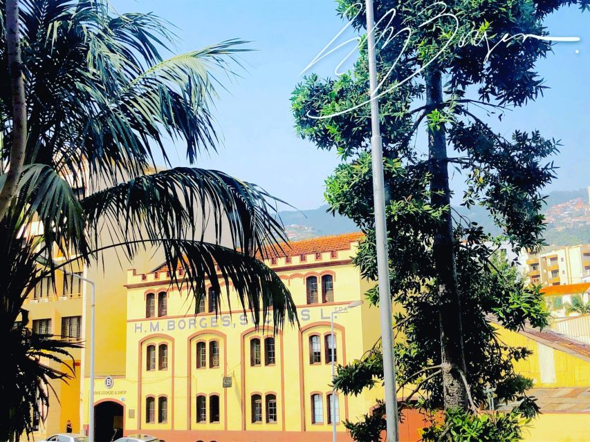 Funchal: H.M. Borges Winery Guided Tour with Wine Tasting - Should you book H.M. Borges?