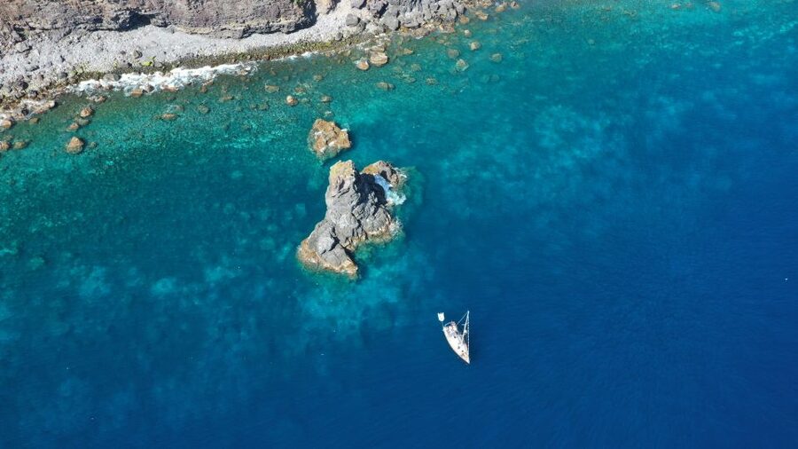 Funchal: Half and Full Day Private Sailboat Tour - Watching for Dolphins and Whales