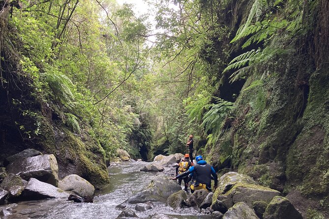 Funchal: Half-day Beginners Canyoning - Ribeira, where the adventure takes shape