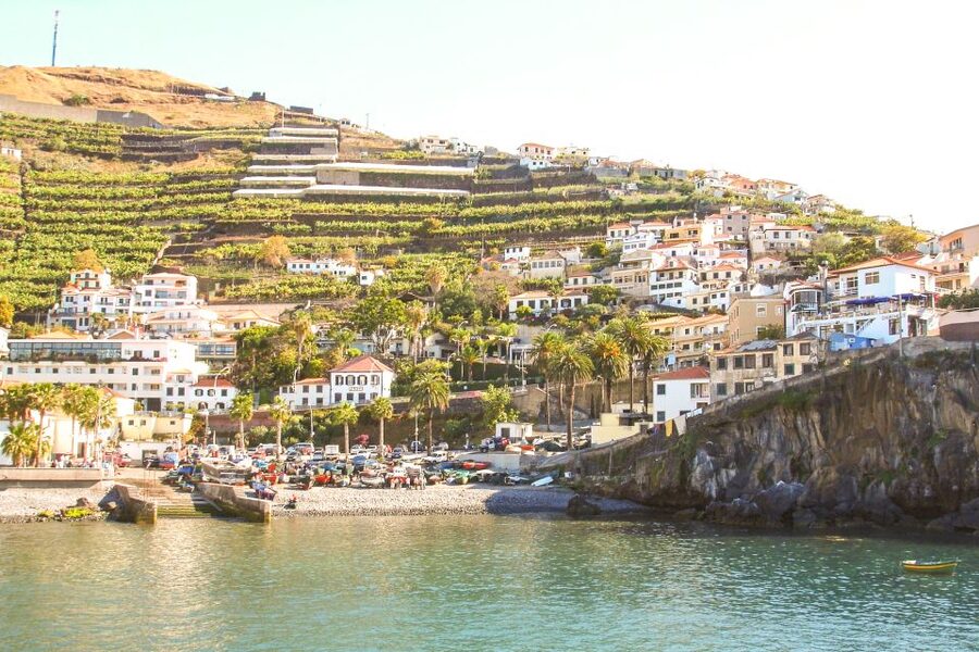 Funchal: Hop-On Hop-Off Bus Tour - Stops for old Funchal, the market, and the cathedral