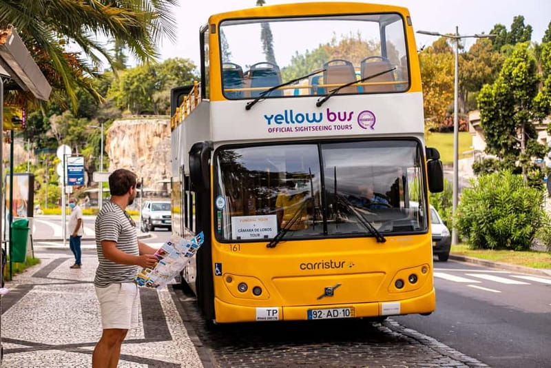 Funchal:Hop-on Hop-off Bus & Whale & Dolphin boat Excursion - Why the bus and boat combination works in Funchal