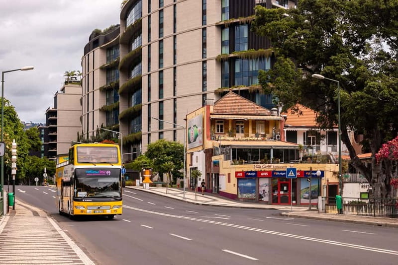 Funchal:Hop-on Hop-off Bus & Whale & Dolphin boat Excursion - What the boat sightings can and cannot promise