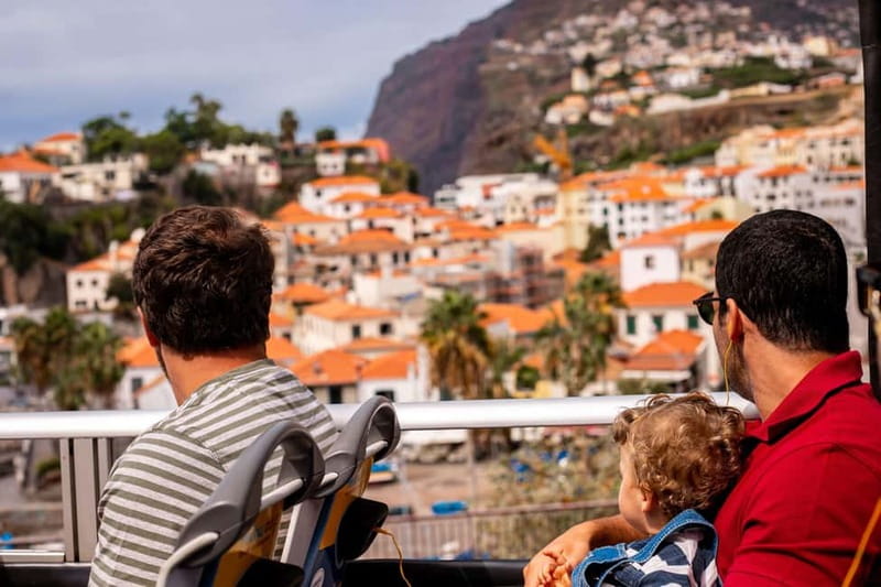 Funchal:Hop-on Hop-off Bus & Whale & Dolphin boat Excursion - Viewpoints, gardens, and the climb above Funchal