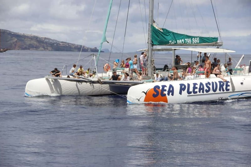 Funchal:Hop-on Hop-off Bus & Whale & Dolphin boat Excursion - Funchal’s old center, market, and city sights