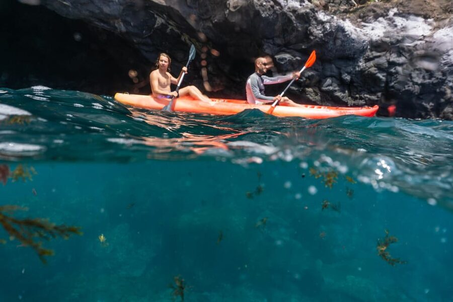 Funchal: KAYAK Rental or Guided tour with snorkeling - Guided kayaking with a group of six or fewer