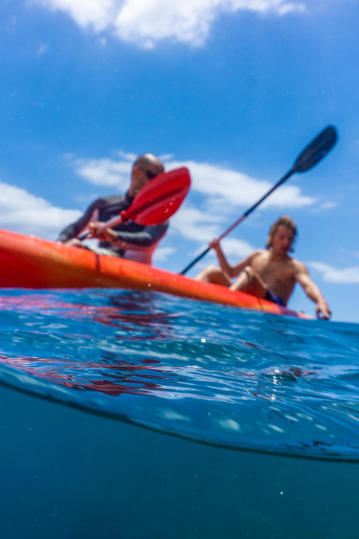 Funchal: KAYAK Rental or Guided tour with snorkeling - Snorkeling during the water break