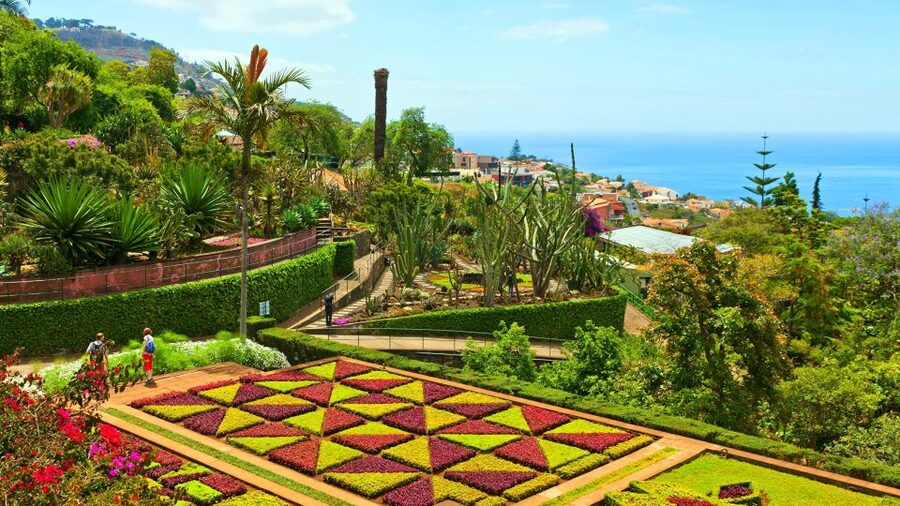 Funchal: Madeira Botanical Garden Private Tuk-Tuk Tour - Why this tuk-tuk tour works well in Funchal