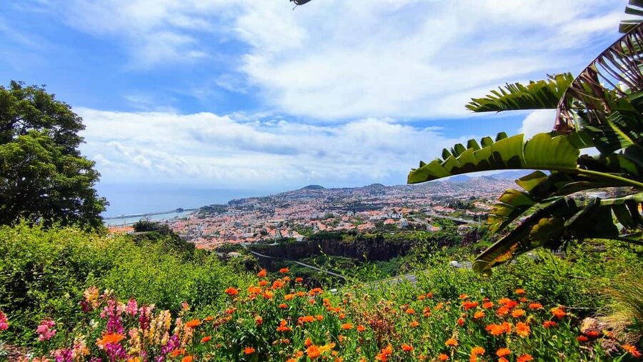 Funchal: Madeira Botanical Garden Private Tuk-Tuk Tour - What the guide adds to the ride