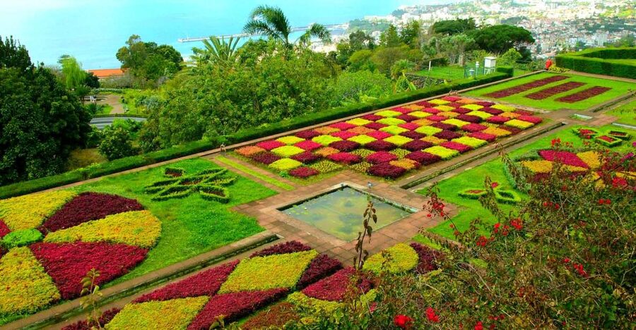 Funchal: Madeira Botanical Garden Private Tuk-Tuk Tour - Is $40 per person good value?