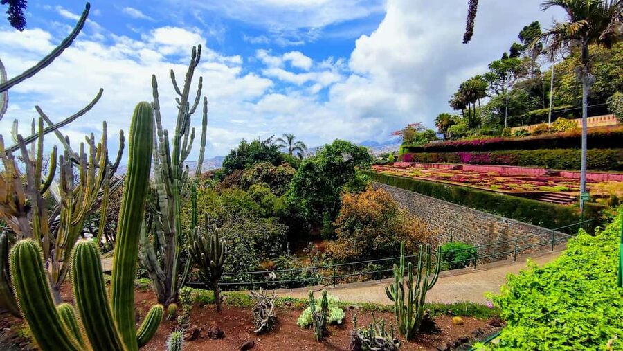 Funchal: Madeira Botanical Garden Private Tuk-Tuk Tour - Practical booking advice for a smoother visit