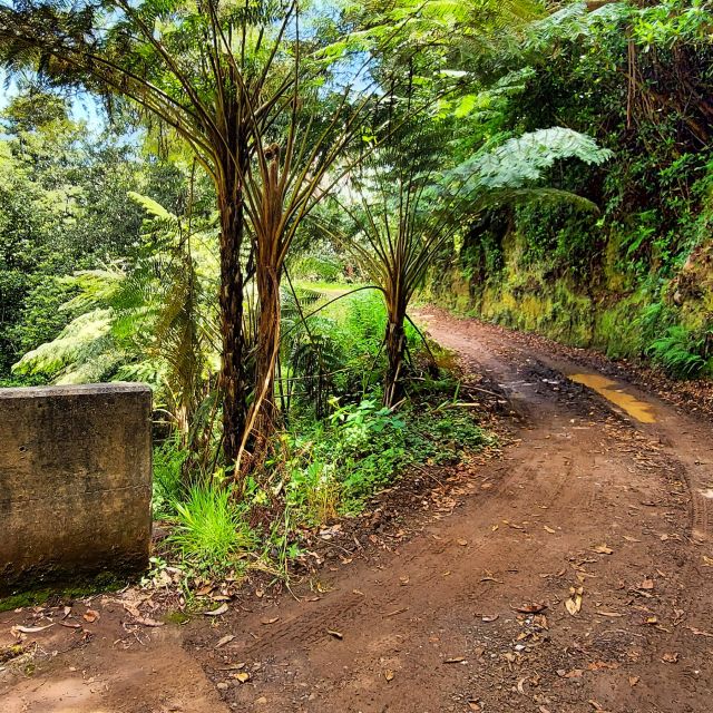 Funchal: Madeira Island 4x4 Private Customizable Tour - Cliffs, waterfalls, and changing island scenery